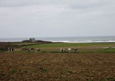 Sessions et images de Bretagne et Saint Brévin