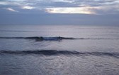 Sessions et images de Bretagne et Saint Brévin