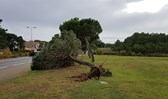 Sessions et images de Bretagne et Saint Brévin