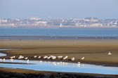 Sessions et images de Bretagne et Saint Brévin