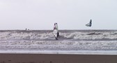 Sessions et images de Bretagne et Saint Brévin