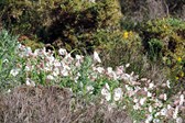 Sessions et images de Bretagne et Saint Brévin