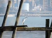 Sessions et images de Bretagne et Saint Brévin