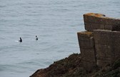 Sessions et images de Bretagne et Saint Brévin