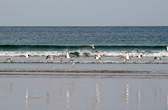Sessions et images de Bretagne et Saint Brévin