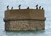 Sessions et images de Bretagne et Saint Brévin