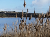 Sessions et images de Bretagne et Saint Brévin