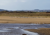 Sessions et images de Bretagne et Saint Brévin