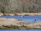 Sessions et images de Bretagne et Saint Brévin