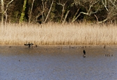 Sessions et images de Bretagne et Saint Brévin