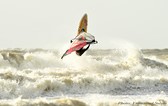 Sessions et images de Bretagne et Saint Brévin