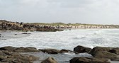 PWA La Torche Octobre 2014