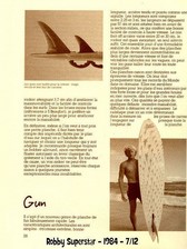 Custom Windsurf 84 - 93 