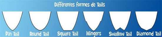 Différentes formes de Tails